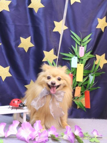 20230704リーくん